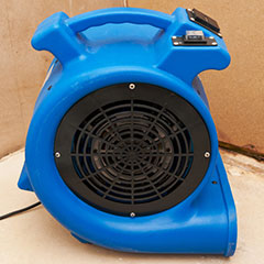 Drying services in Florida